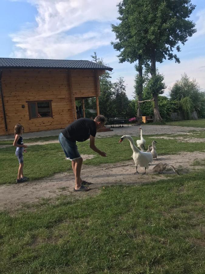 Берег Світязя Svitiaz Eksteriør billede